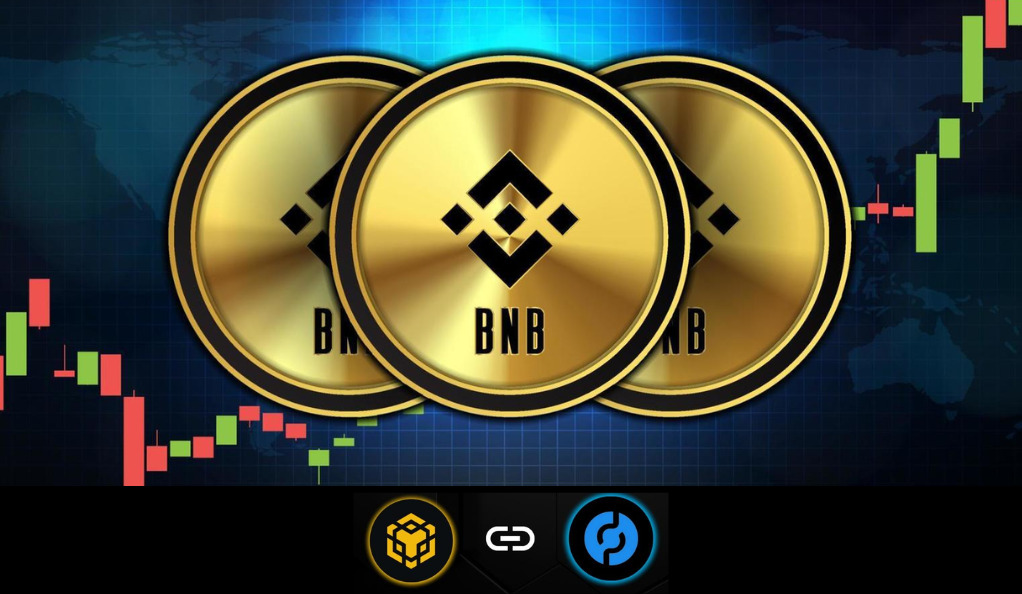 Binance Coin (BNB) From Exchange Token to Ecosystem Powerhouse