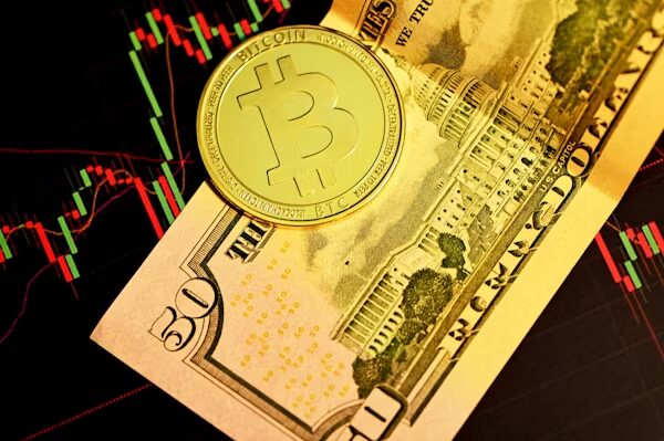 TradeSynthIQ Review