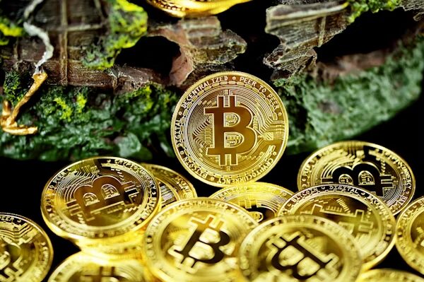 Tezos Épicor Review