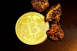 Argonaut Investor Reviews