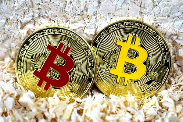 GuardCrypto Review