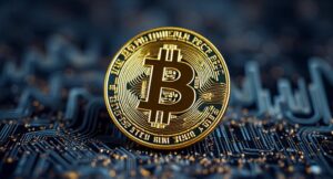 Surge Finansoerler Review