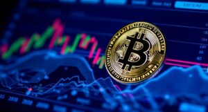 Noteikts Bitline Review