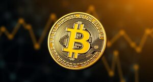 Rico Corebit Review